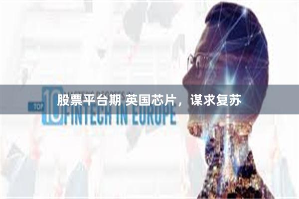 股票平台期 英国芯片，谋求复苏
