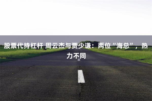 股票代持杠杆 周云杰与贾少谦：两位“海总”，热力不同