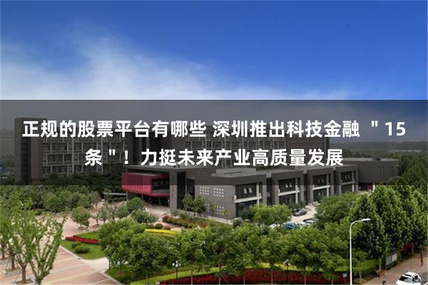 正规的股票平台有哪些 深圳推出科技金融 ＂15条＂！力挺未来产业高质量发展