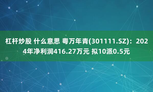 杠杆炒股 什么意思 粤万年青(301111.SZ)：2024年净利润416.27万元 拟10派0.5元