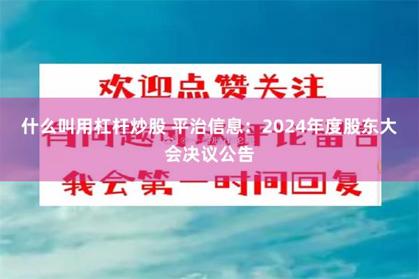 什么叫用杠杆炒股 平治信息：2024年度股东大会决议公告