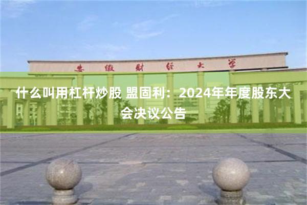 什么叫用杠杆炒股 盟固利：2024年年度股东大会决议公告