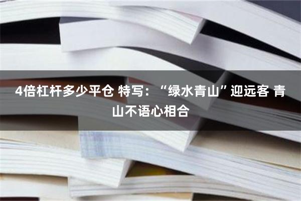 4倍杠杆多少平仓 特写：“绿水青山”迎远客 青山不语心相合