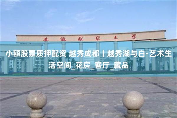 小额股票质押配资 越秀成都丨越秀湖与白-艺术生活空间_花房_客厅_藏品