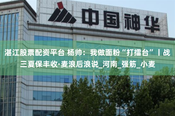 湛江股票配资平台 杨帅：我做面粉“打擂台”丨战三夏保丰收·麦浪后浪说_河南_强筋_小麦