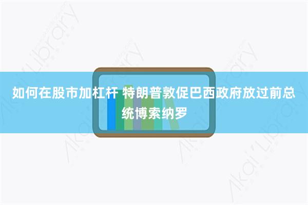 如何在股市加杠杆 特朗普敦促巴西政府放过前总统博索纳罗