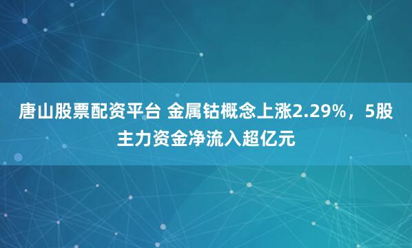 唐山股票配资平台 金属钴概念上涨2.29%，5股主力资金净流入超亿元