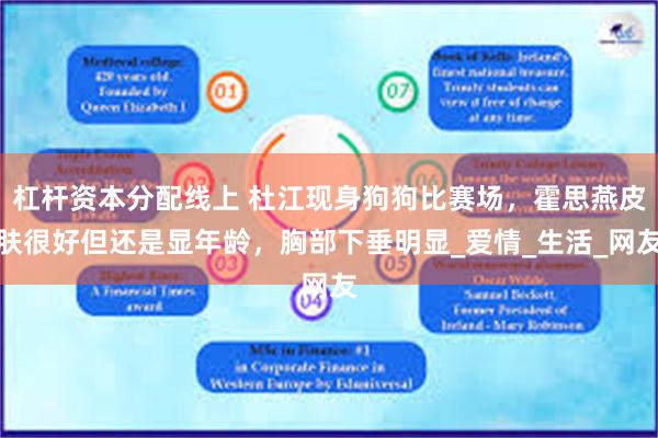 杠杆资本分配线上 杜江现身狗狗比赛场，霍思燕皮肤很好但还是显年龄，胸部下垂明显_爱情_生活_网友