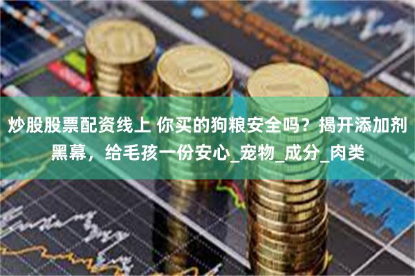 炒股股票配资线上 你买的狗粮安全吗？揭开添加剂黑幕，给毛孩一份安心_宠物_成分_肉类
