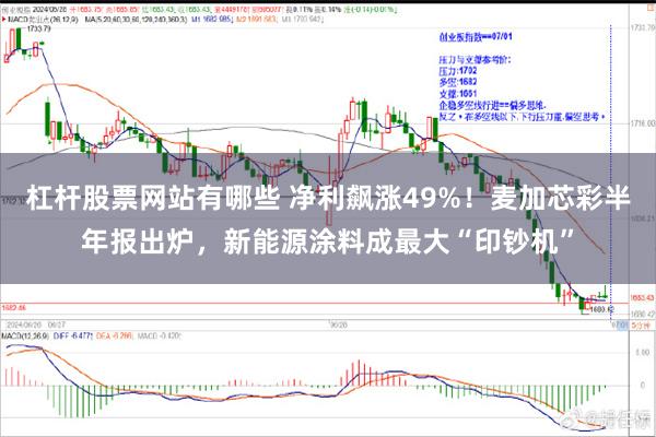 杠杆股票网站有哪些 净利飙涨49%！麦加芯彩半年报出炉，新能源涂料成最大“印钞机”