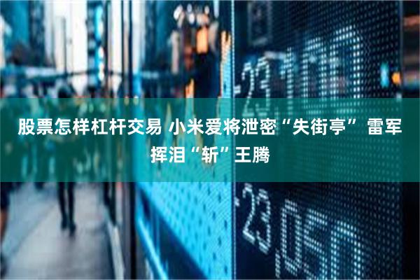 股票怎样杠杆交易 小米爱将泄密“失街亭” 雷军挥泪“斩”王腾
