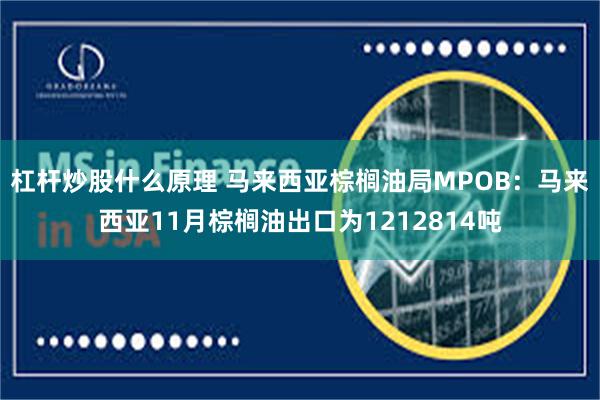 杠杆炒股什么原理 马来西亚棕榈油局MPOB：马来西亚11月棕榈油出口为1212814吨