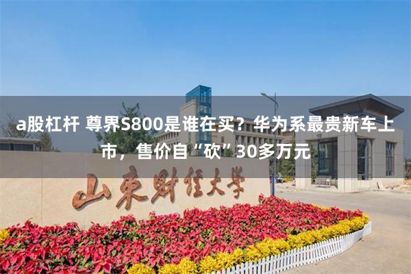 a股杠杆 尊界S800是谁在买？华为系最贵新车上市，售价自“砍”30多万元