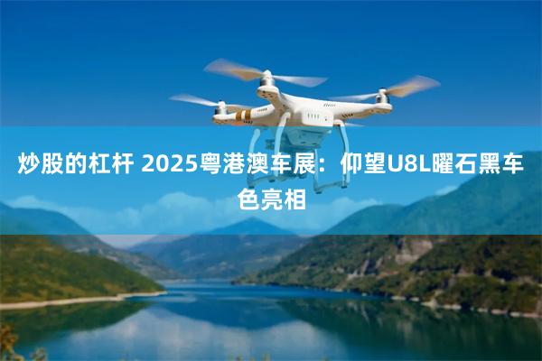 炒股的杠杆 2025粤港澳车展：仰望U8L曜石黑车色亮相