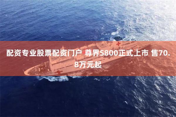 配资专业股票配资门户 尊界S800正式上市 售70.8万元起