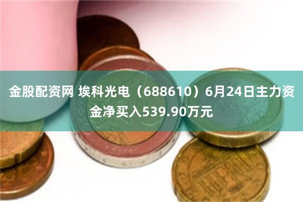 金股配资网 埃科光电（688610）6月24日主力资金净买入539.90万元