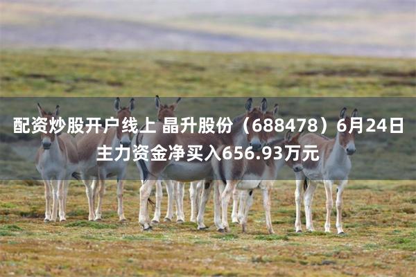 配资炒股开户线上 晶升股份（688478）6月24日主力资金净买入656.93万元