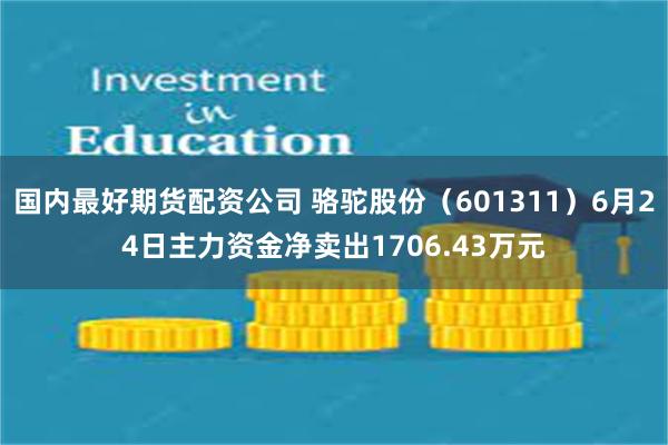 国内最好期货配资公司 骆驼股份（601311）6月24日主力资金净卖出1706.43万元