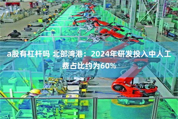 a股有杠杆吗 北部湾港：2024年研发投入中人工费占比约为60%
