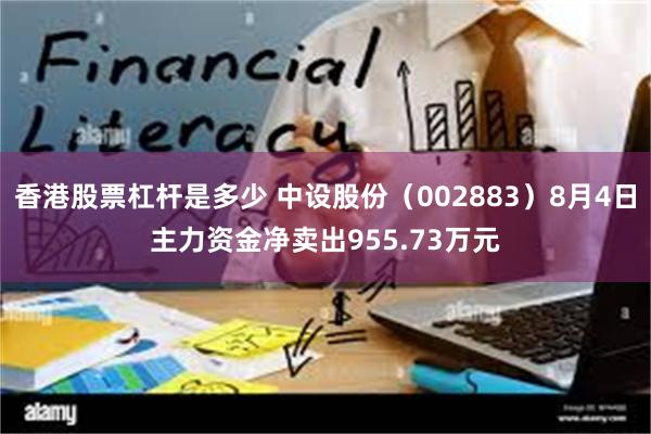 香港股票杠杆是多少 中设股份（002883）8月4日主力资金净卖出955.73万元
