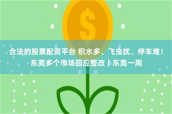 合法的股票配资平台 积水多、飞虫扰、停车难!东莞多个市场回应整改|东莞一周