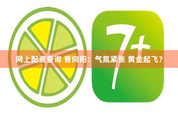 网上配资查询 曹向阳：气氛紧张 黄金起飞？