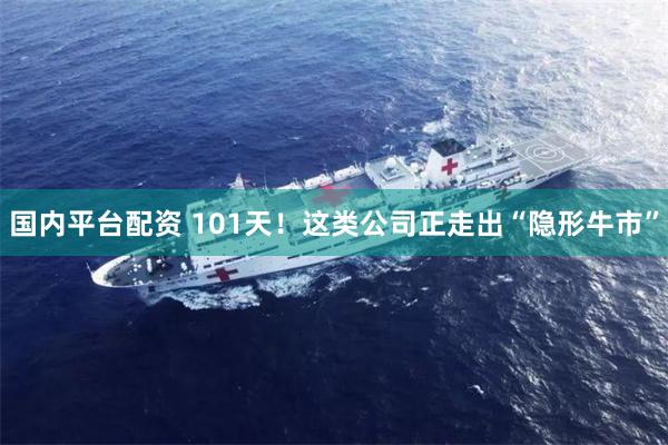 国内平台配资 101天！这类公司正走出“隐形牛市”