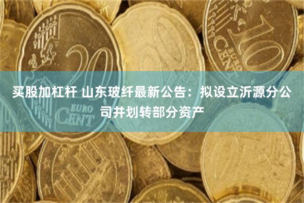 买股加杠杆 山东玻纤最新公告：拟设立沂源分公司并划转部分资产