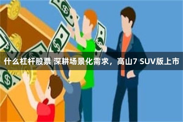 什么杠杆股票 深耕场景化需求，高山7 SUV版上市