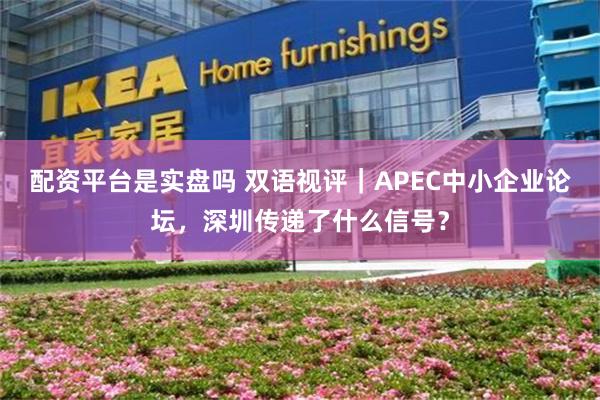 配资平台是实盘吗 双语视评｜APEC中小企业论坛，深圳传递了什么信号？