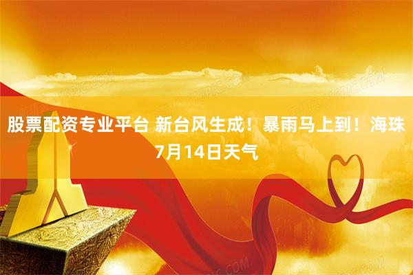 股票配资专业平台 新台风生成!暴雨马上到!海珠7月14日天气