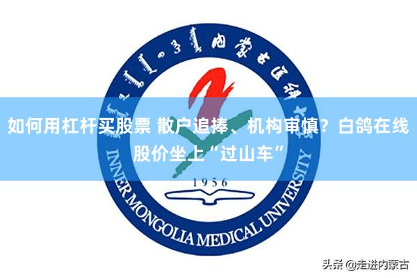 如何用杠杆买股票 散户追捧、机构审慎？白鸽在线股价坐上“过山车”