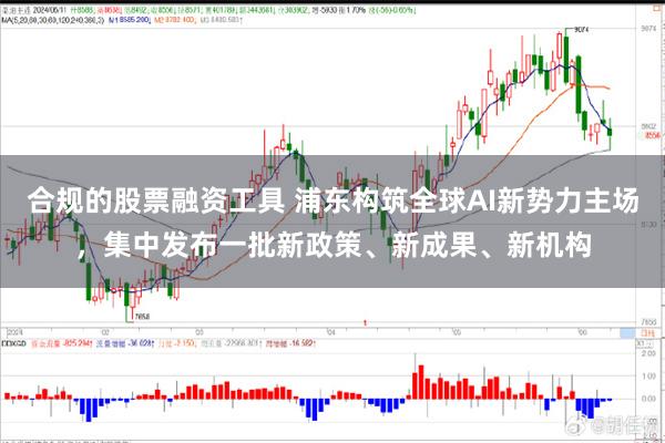合规的股票融资工具 浦东构筑全球AI新势力主场,集中发布一批新政策、新成果、新机构