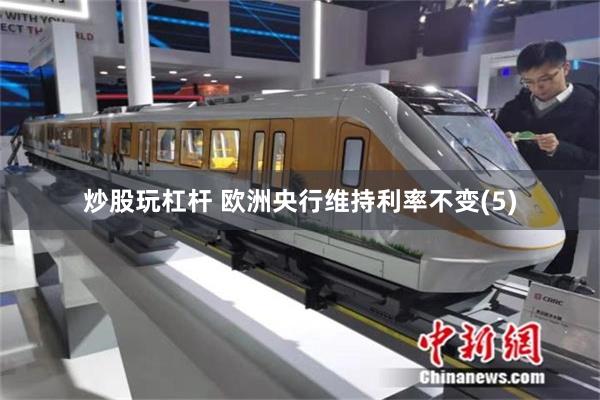 炒股玩杠杆 欧洲央行维持利率不变(5)