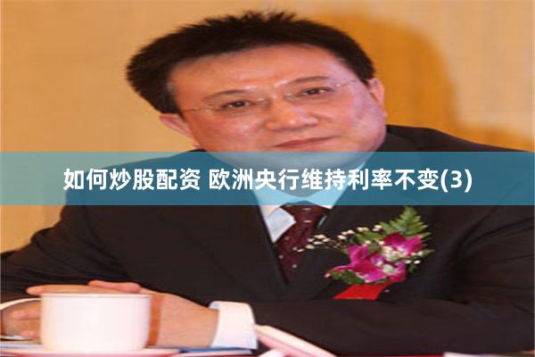 如何炒股配资 欧洲央行维持利率不变(3)