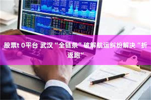 股票t 0平台 武汉“全链条”破解航运纠纷解决“折返跑”