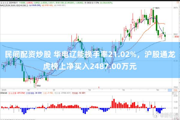 民间配资炒股 华电辽能换手率21.02%，沪股通龙虎榜上净买入2487.00万元