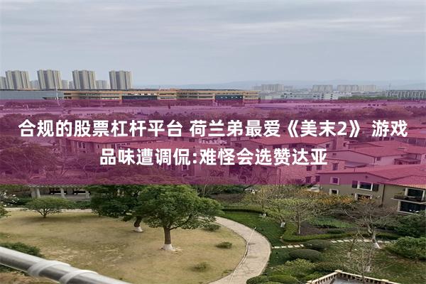 合规的股票杠杆平台 荷兰弟最爱《美末2》 游戏品味遭调侃:难怪会选赞达亚