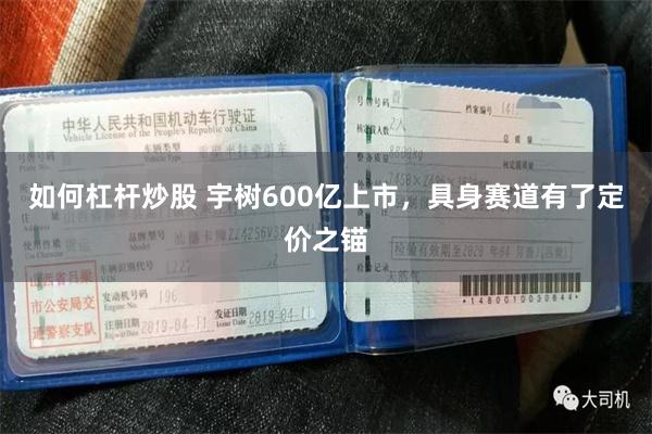 如何杠杆炒股 宇树600亿上市，具身赛道有了定价之锚