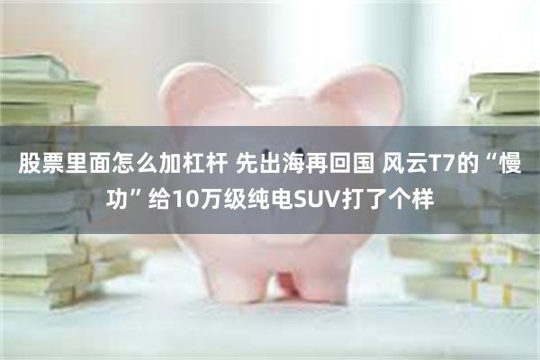 股票里面怎么加杠杆 先出海再回国 风云T7的“慢功”给10万级纯电SUV打了个样